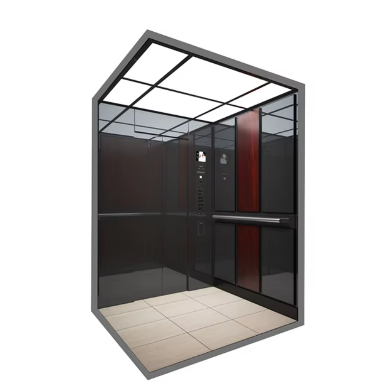 VTEP109 Elevadores User-Friendly Passenger Elevator with Intuitive Control Panel