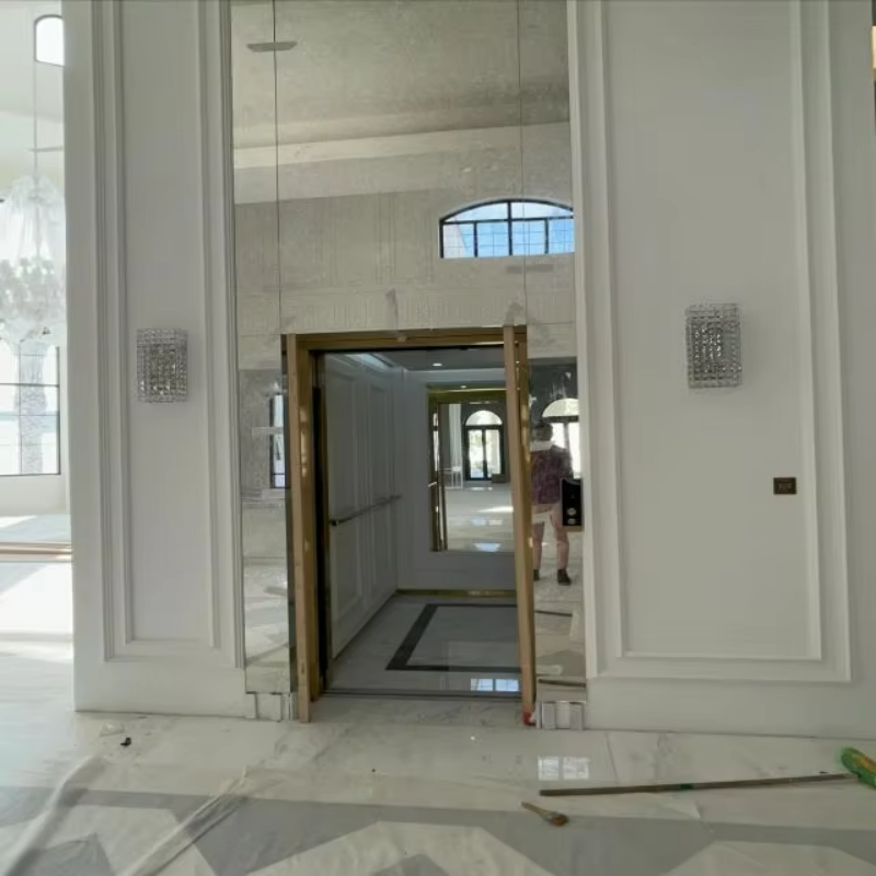 VTEP112 Elevadores nagysebességű személylift a gyors függőleges mozgáshoz