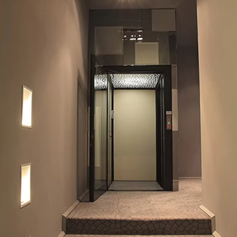 VTEV104 Ascensores Elevadores luxus rozsdamentes acél villalift családi használatra