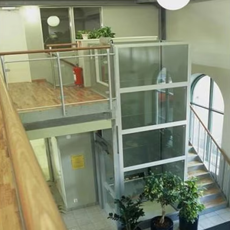 VTEV105 Ascensores Elevadores egyedi kabinos villalift belső dekorációhoz
